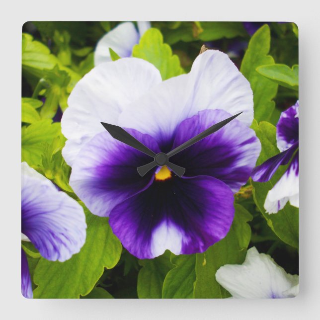 Purple And White Pansies, Square Wall Clock (Front)