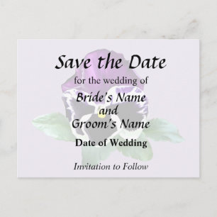 Purple and White Pansy Announcement Postcard