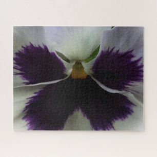 Purple and white pansy jigsaw puzzle