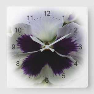 Purple and white pansy square wall clock