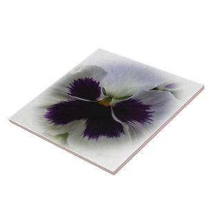 Purple and white pansy tile
