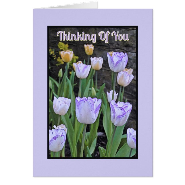 "PURPLE AND WHITE TULIPS / Thinking Of You (Front)