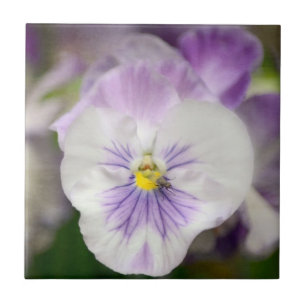 Purple and White Violas by Shirley Taylor Tile