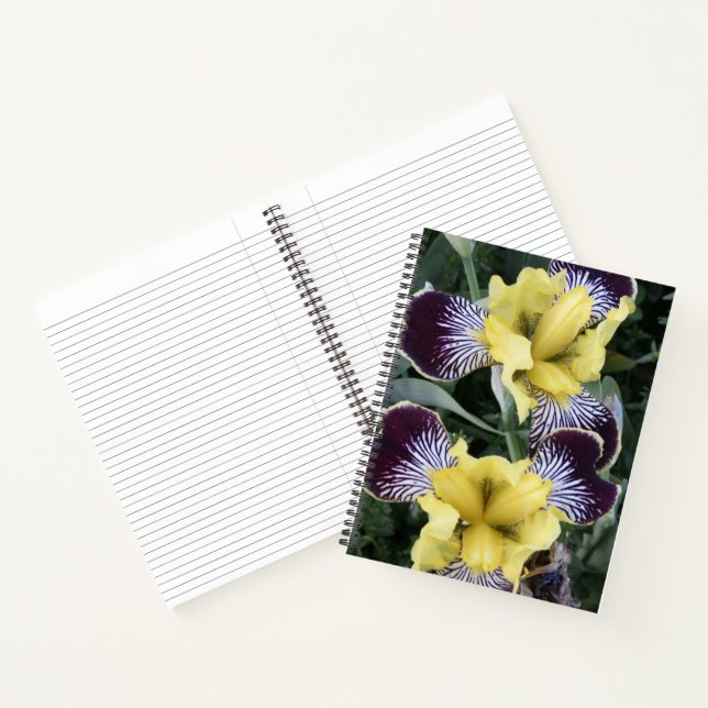 Purple and Yellow Beardless Irises Floral Notebook (Inside)