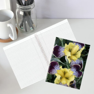 Purple and Yellow Beardless Irises Floral Notebook