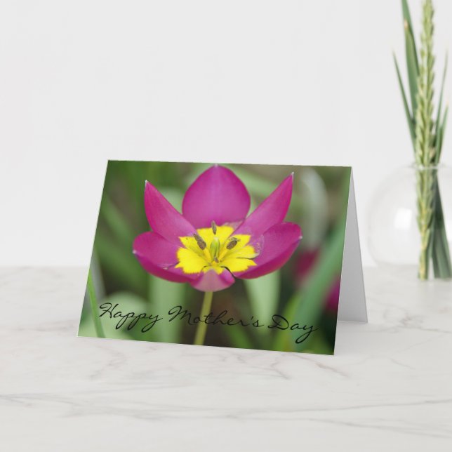Purple and Yellow Flower Mother's Day Card (Front)