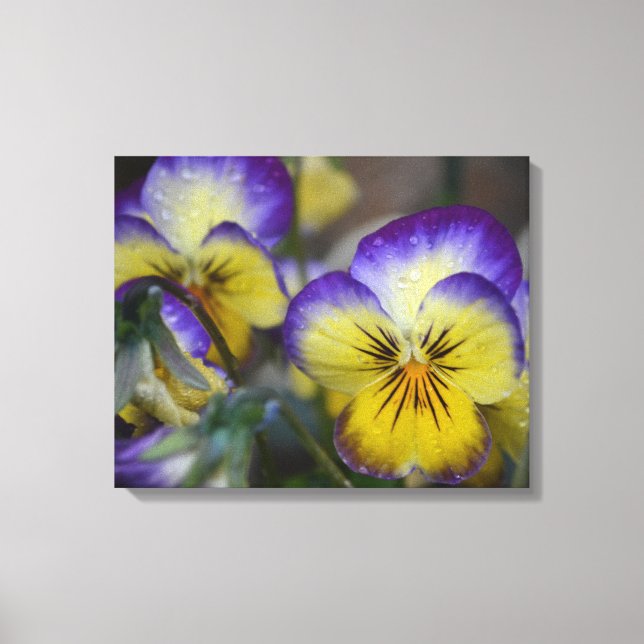 Purple and Yellow Flower Wrapped Canvas (Front)