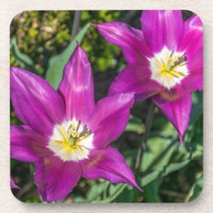 Purple and yellow flowers hard plastic coasters