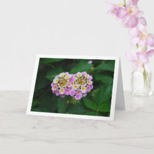 Purple and Yellow Lantana Flowers Card