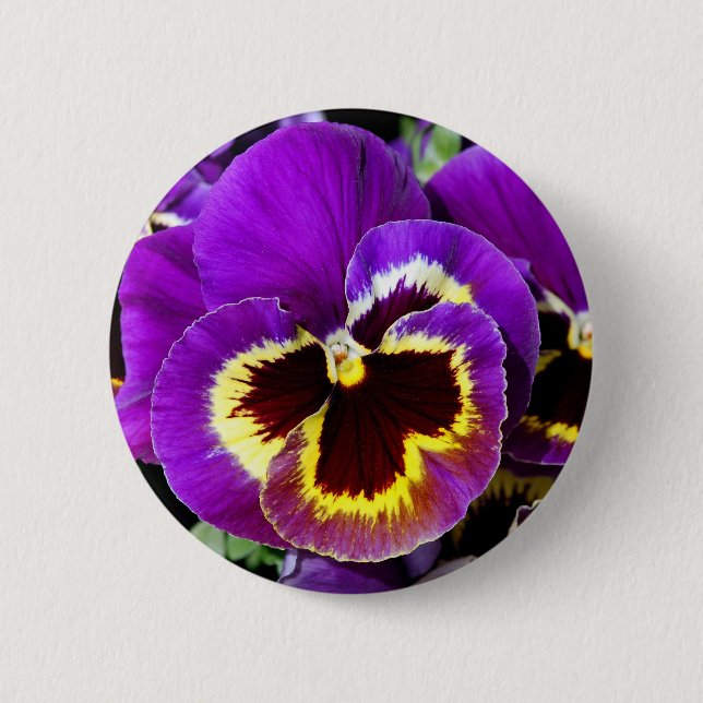 Purple and yellow pansy flower 2 inch round button (Front)