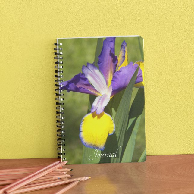 Purple and Yellow Siberian Iris Floral Notebook (In Situ)
