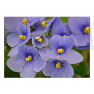 Purple And Yellow Violet Note Card