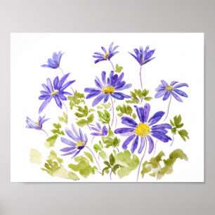 purple anemone blanda Watercolor  Poster
