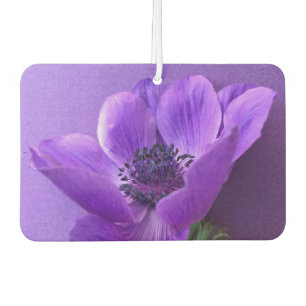 Purple anemone on similar colour background air freshener