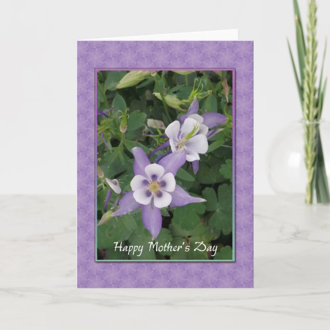 Purple Aquilegia, Columbine Carte de fête des mère (Devant)