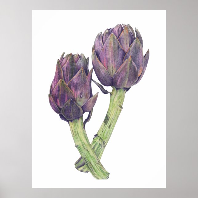 Purple Artichokes Art Print (Front)