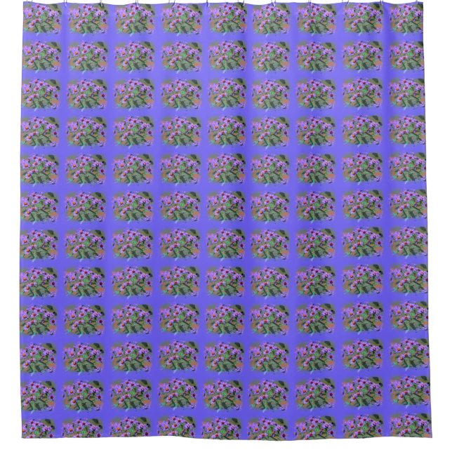 purple aster bouquets (Front)