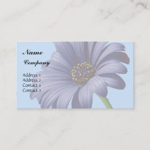 Purple Aster Flower Business Card