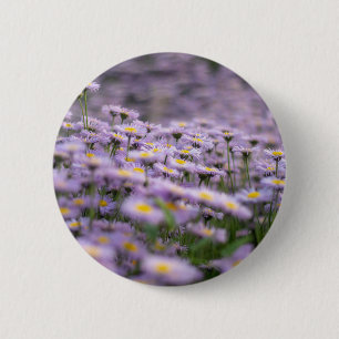 Purple Aster Flowers 2 Inch Round Button