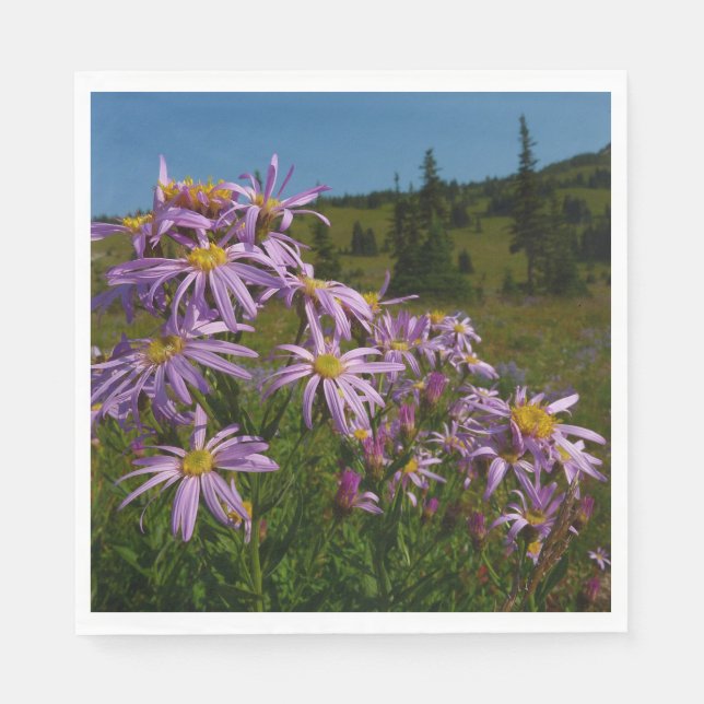 Purple Aster Flowers at Mount Rainier Napkin (Front)