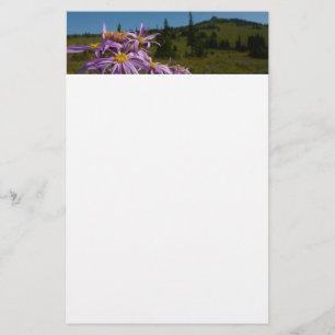 Purple Aster Flowers at Mount Rainier Stationery