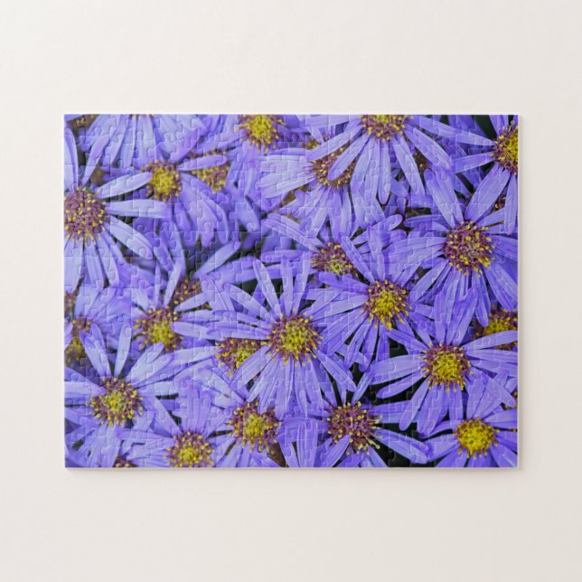 Purple Aster Flowers at RHS Garden Wisley Jigsaw Puzzle (Horizontal)