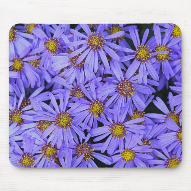Purple Aster Flowers at RHS Garden Wisley Mouse Pad (Front)