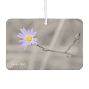 Purple Aster in Selective Colour Air Freshener