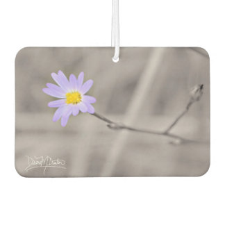 Purple Aster in Selective Colour Air Freshener
