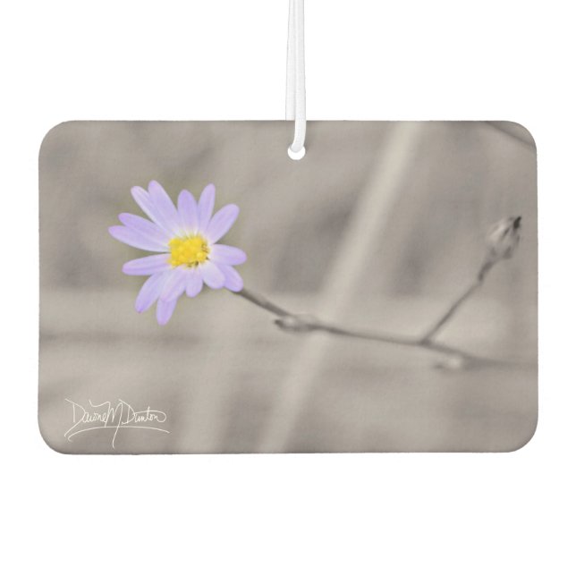 Purple Aster in Selective Colour Air Freshener (Front)