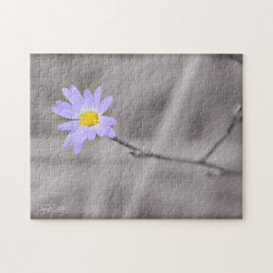 Purple Aster in Selective Colour Jigsaw Puzzle