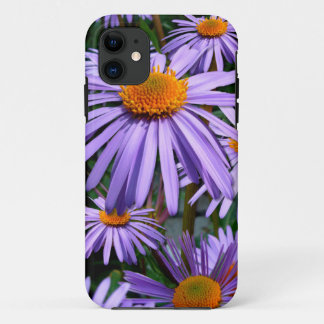 Purple Asters iPhone 5 case
