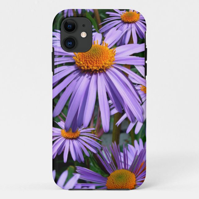 Purple Asters iPhone 5 case (Back)