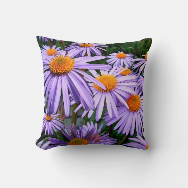 Purple Asters Throw Pillow (Front)