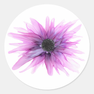 Purple Astor—tous les autocollants en forme—