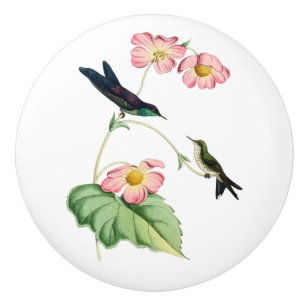 Purple Backed Thornbill Hummingbird Ceramic Knob