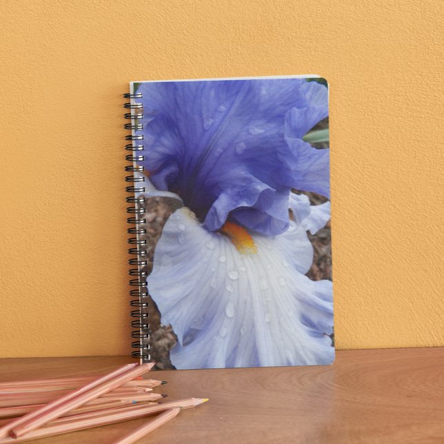 Purple Bearded Iris Floral Notebook (In Situ)