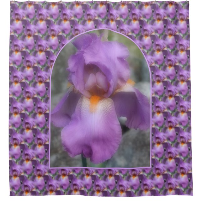 Purple Bearded Iris Flower Nature Pattern (Front)