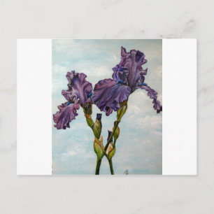 Purple bearded iris flowers postcard