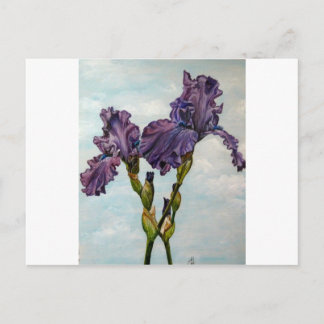 Purple bearded iris flowers postcard