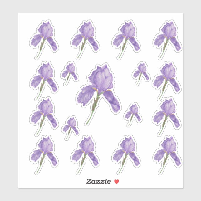Purple Bearded Iris in Assorted Sizes (Sheet)