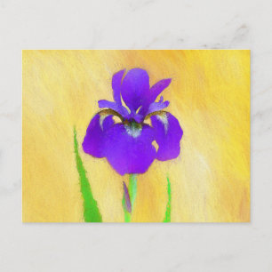 Purple Bearded Iris Painting - Cute Original Dog A Postcard