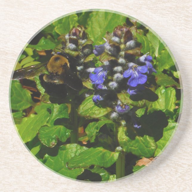Purple Bee Balm and Bumble Bee Coaster (Front)
