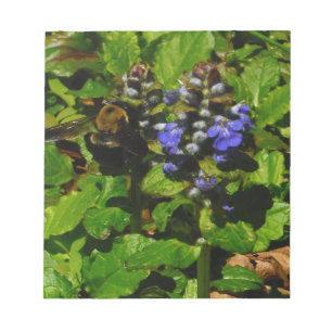 Purple Bee Balm and Bumble Bee Notepad