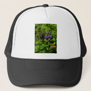 Purple Bee Balm and Bumble Bee Trucker Hat
