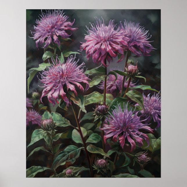 Purple Bee Balm Flowers Art Imprimer Poster (Devant)