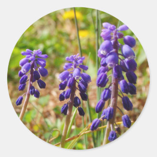 Purple Bell Buds Flower Sticker