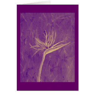 Purple Bird of Paradise