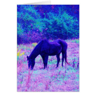 Purple Black Horse in Rainbow field
