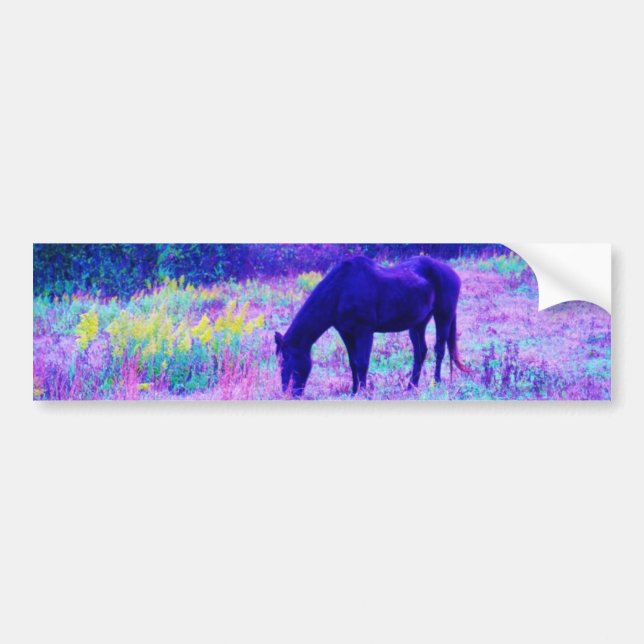 Purple Black Horse in Rainbow field Bumper Sticker (Front)
